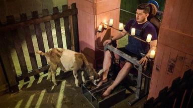 Poster episodio Flinch 1x4