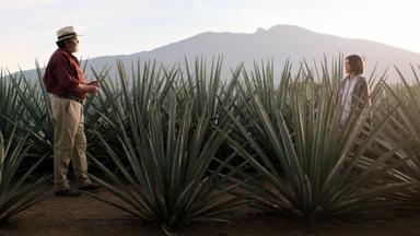 Poster episodio Monarca 1x1