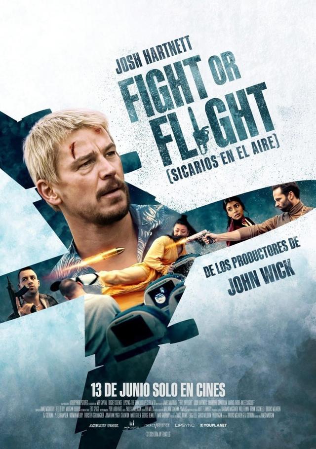 Poster Fight or Flight (Sicarios en el aire)