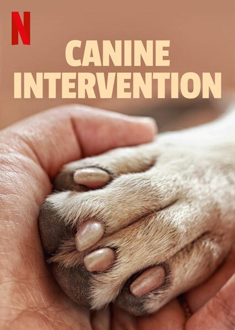 Poster Adiestramiento canino