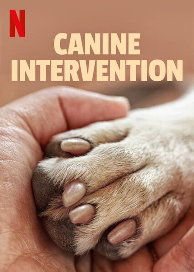 Poster Adiestramiento canino
