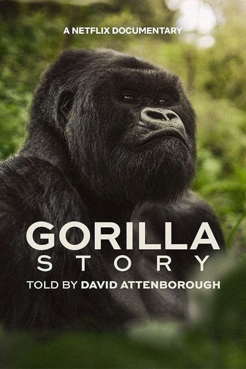 Poster Una historia de gorilas contada por David Attenborough