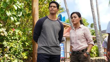 Poster episodio NCIS: Hawaiʻi 1x6