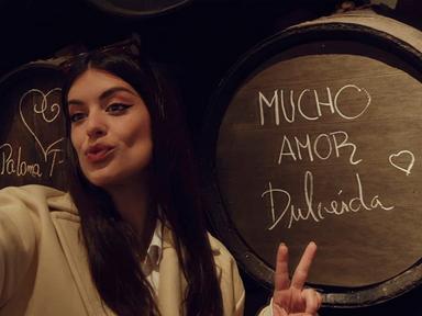 Poster episodio Dulceida al desnudo 1x4