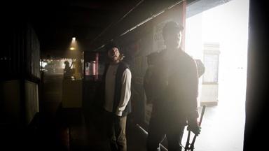 Poster episodio Animal Kingdom 1x8