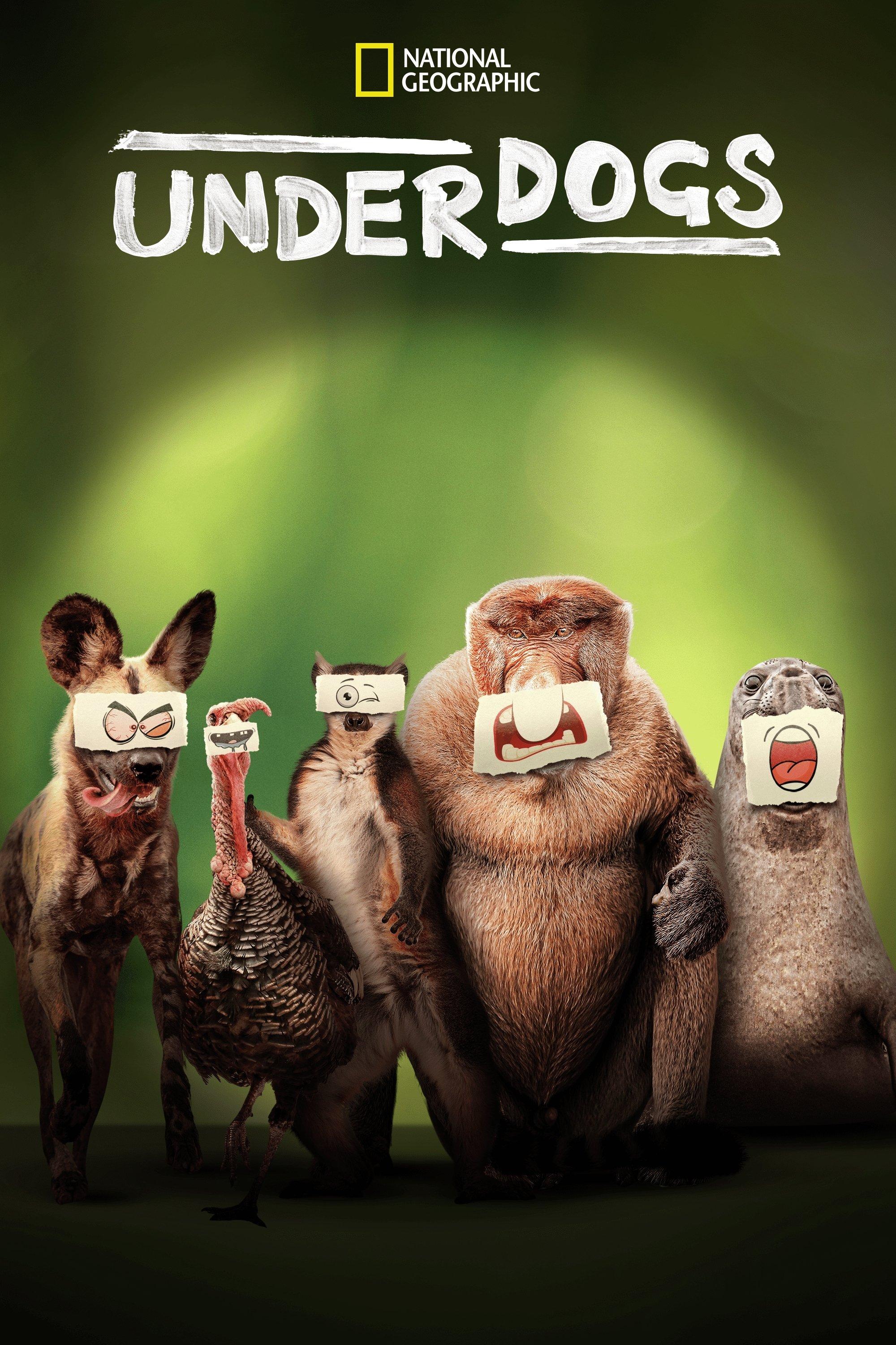 Poster Underdogs