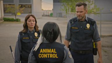 Poster episodio Animal Control 4x6