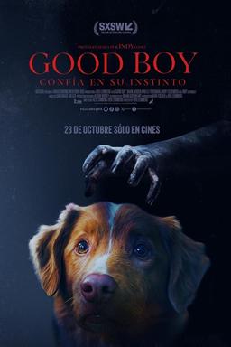 Poster Good Boy: Confía en su instinto