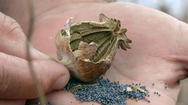 Poster episodio El crimen del siglo 1x2