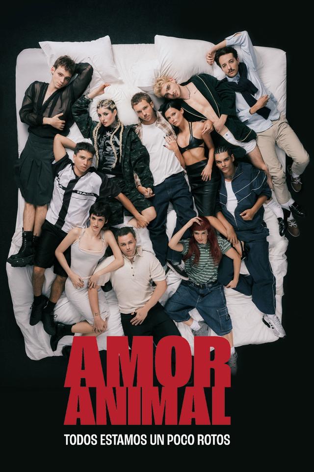 Poster Amor animal