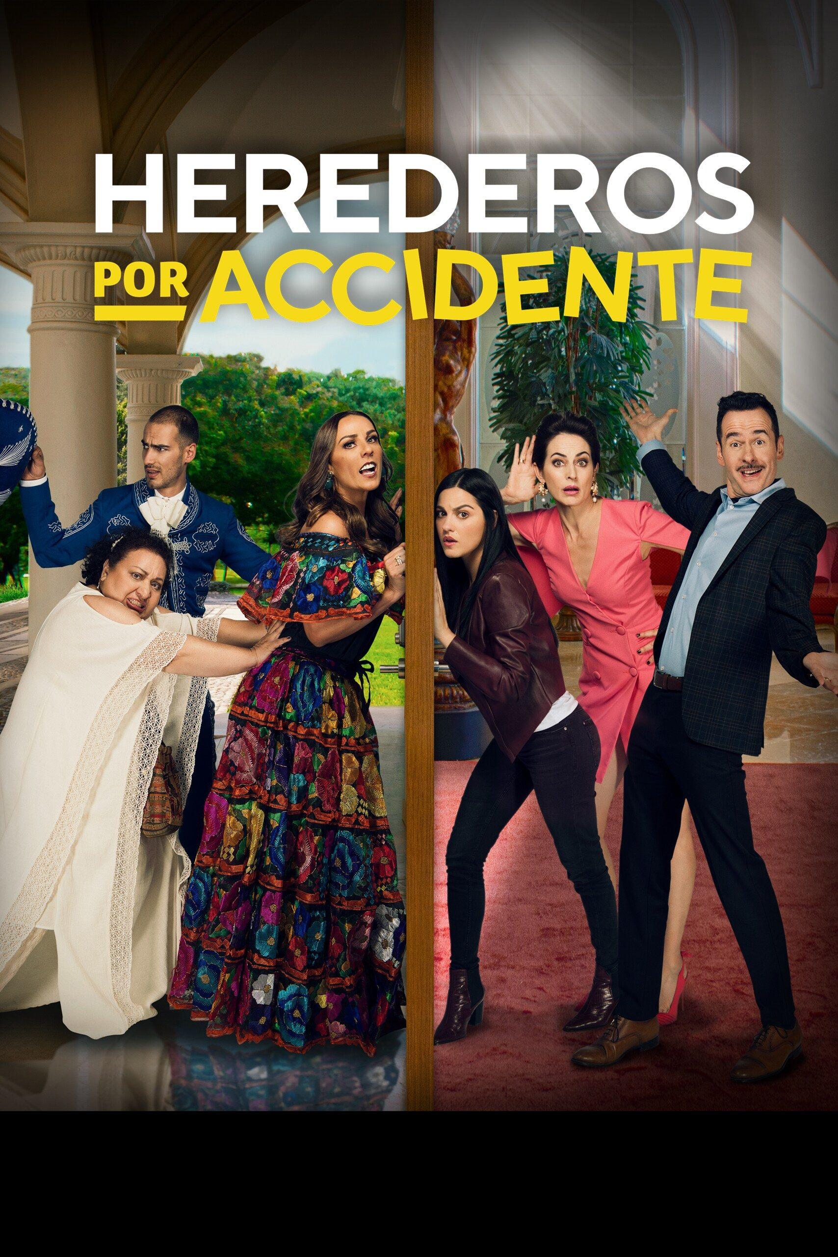 Poster Herederos por accidente