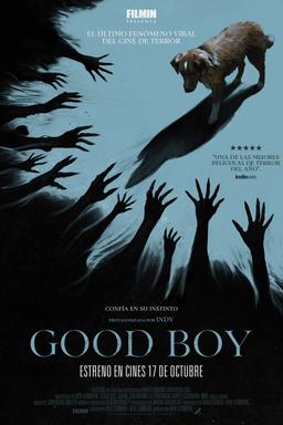 Poster Good Boy