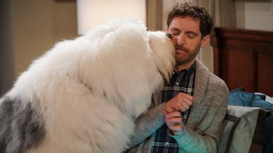 Poster episodio B Positive 1x12