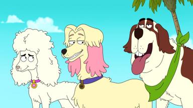 Poster episodio HouseBroken 1x5