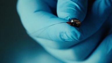 Poster episodio El arte del espionaje 1x4