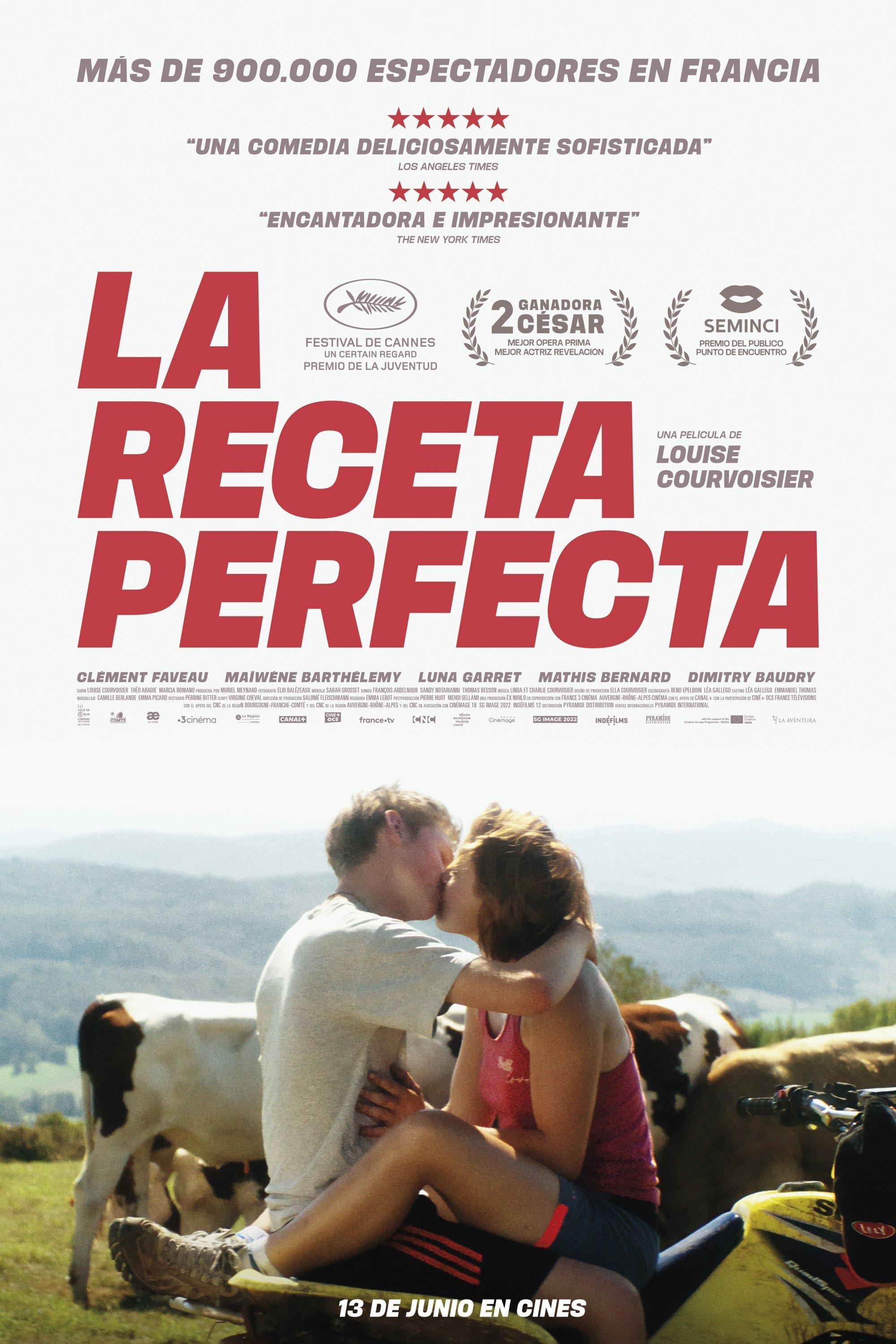 Poster La receta perfecta