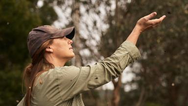 Poster episodio Fires 1x3