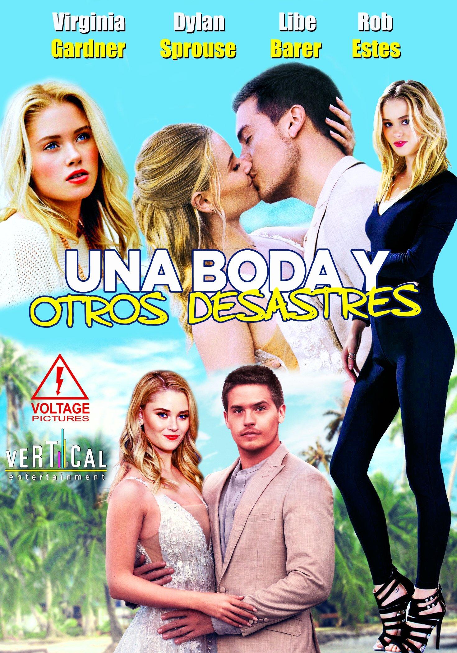 Poster Una Boda y Otros Desastres