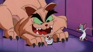 Poster episodio Pinky, Elvira y Cerebro 1x6