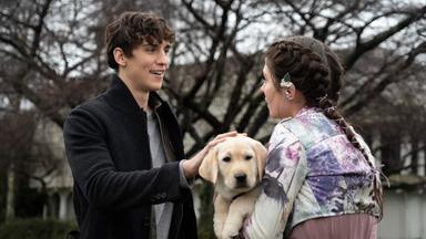 Poster episodio Hechiceras 1x13