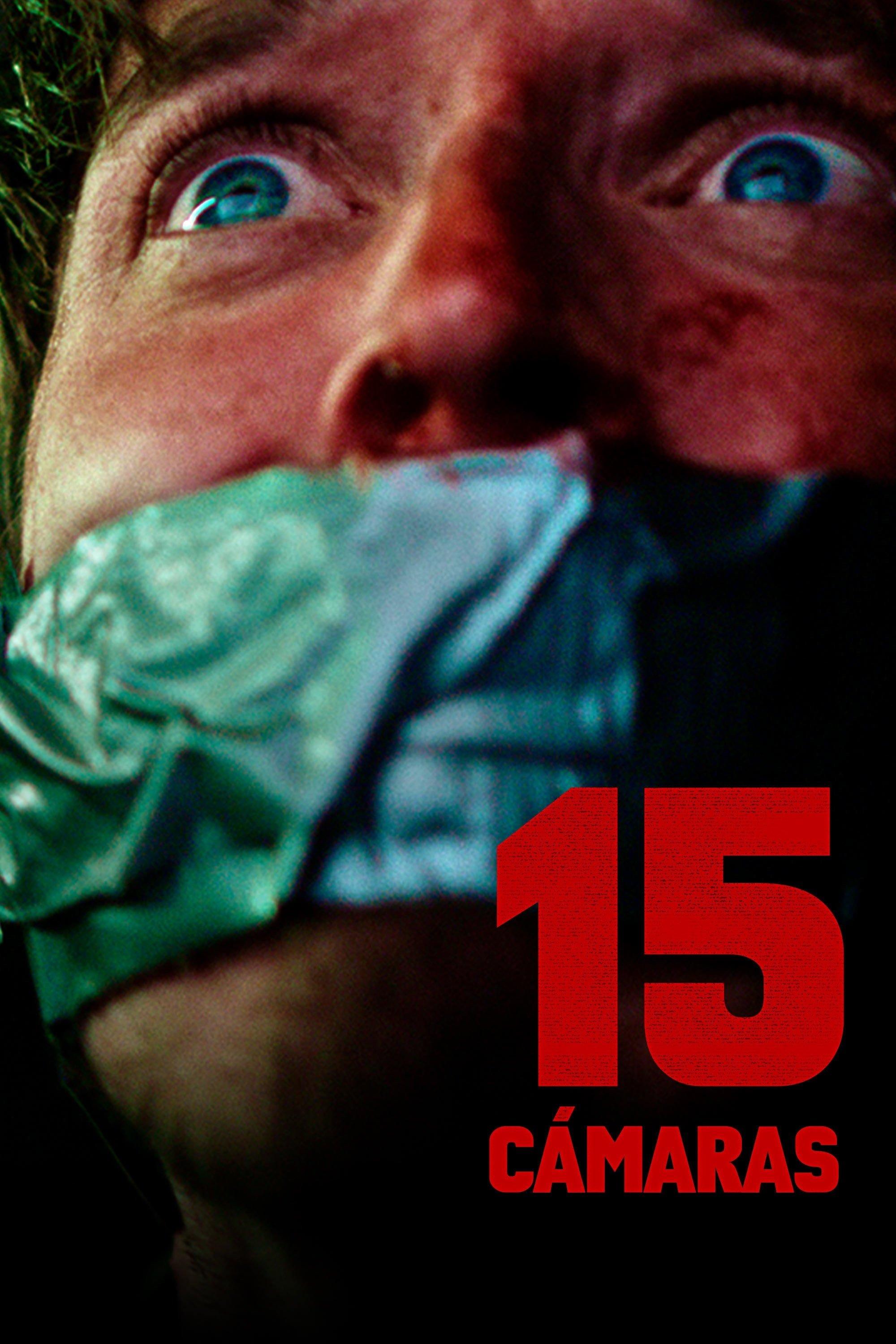 Poster 15 cámaras