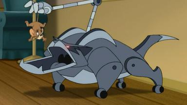 Poster episodio Las nuevas aventuras de Tom y Jerry 1x12