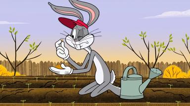 Poster episodio New Looney Tunes 1x23