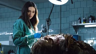 Poster episodio La cosa del pantano 1x1