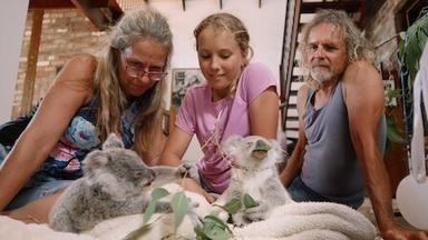 Poster episodio Izzy y los koalas 1x6