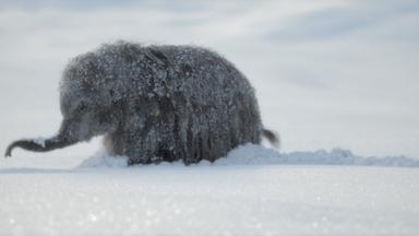 Poster episodio Planeta prehistórico 3x1