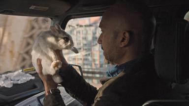 Poster episodio Amigos de la universidad 1x2