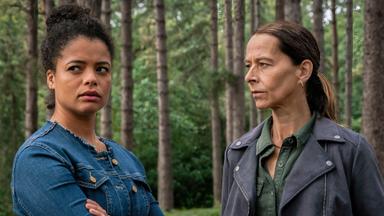 Poster episodio Desde dentro 1x3