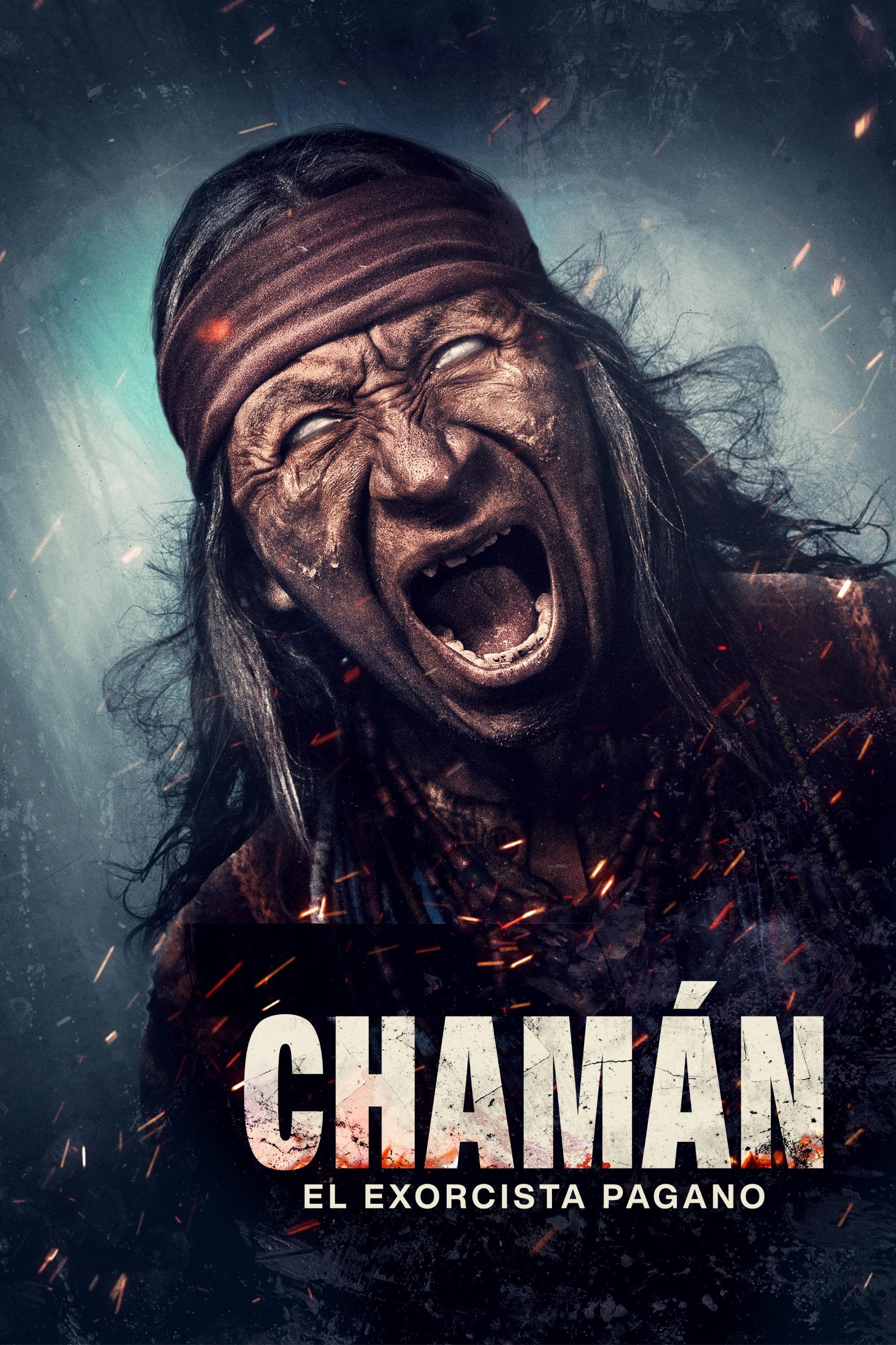 Poster Shaman