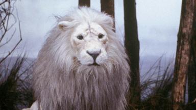 Poster episodio El Narrador de Cuentos 1x9