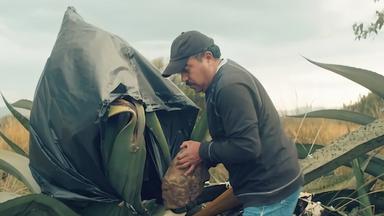 Poster episodio Las crónicas del taco 1x5