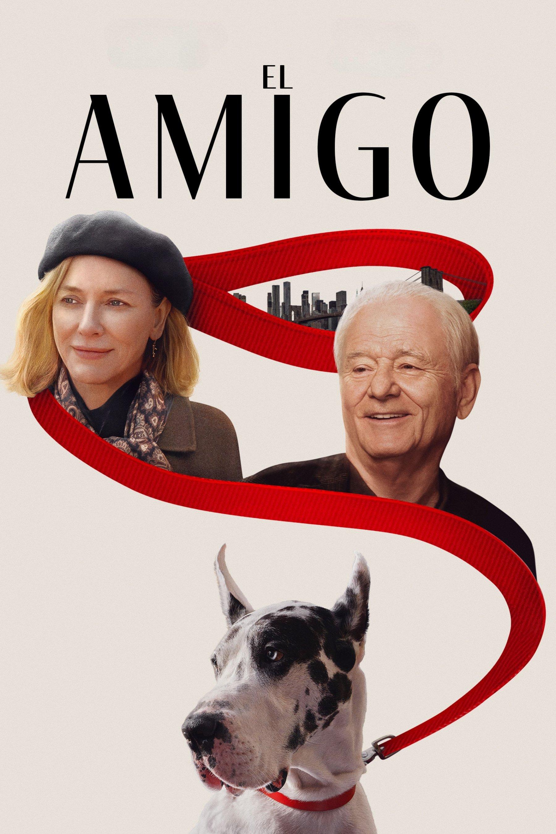 Poster El Amigo