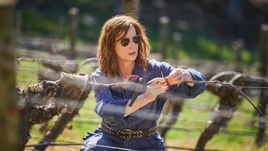 Poster episodio Aftertaste 1x2