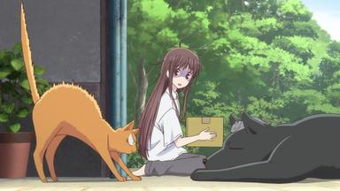 Poster episodio Fruits Basket 1x2