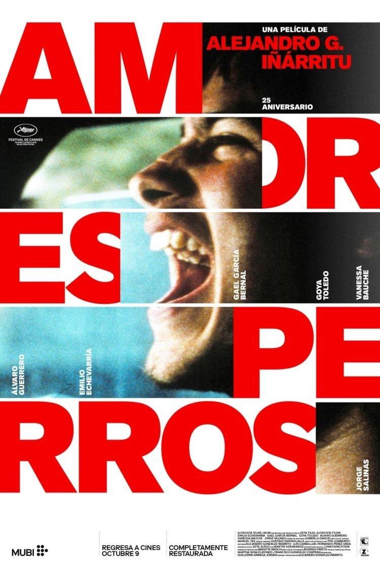 Poster Amores perros