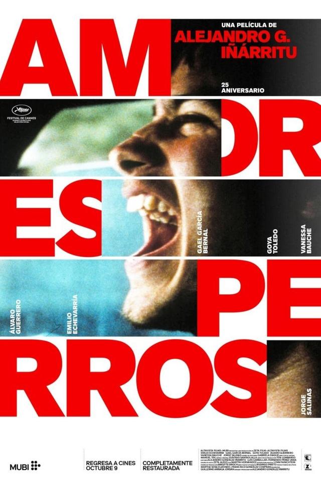 Poster Amores perros