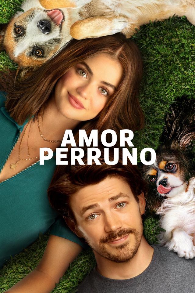 Poster Amor De Cachorros