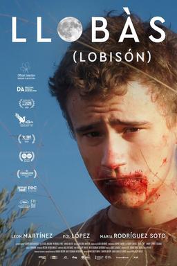 Poster Llobàs