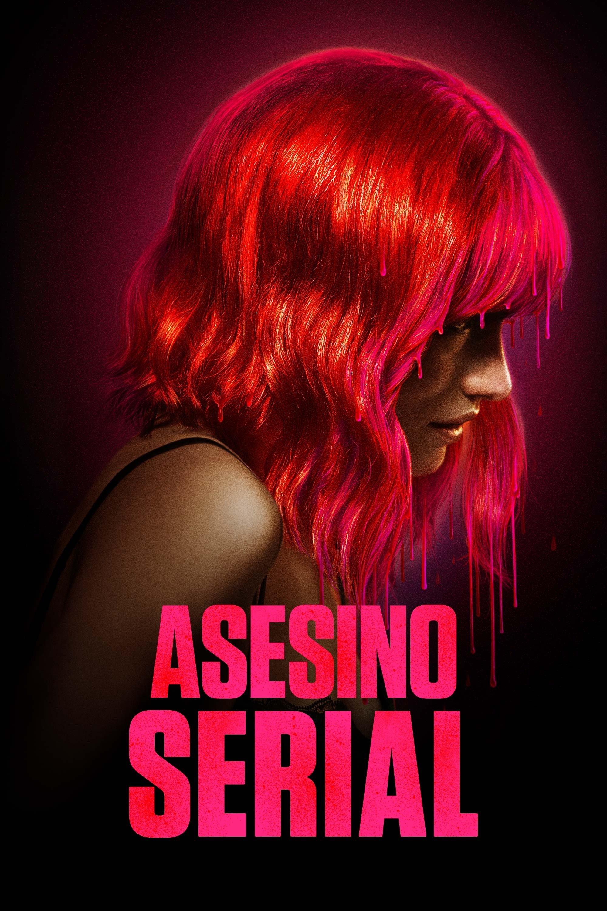 Poster Asesino serial