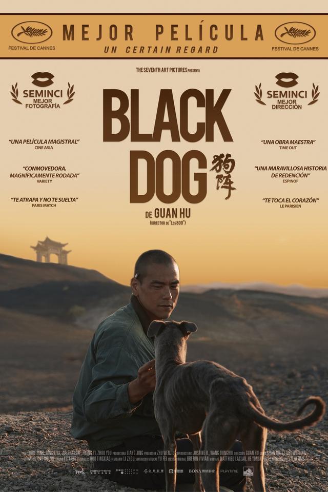 Poster Black Dog