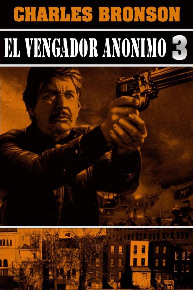 Poster El Vengador Anónimo 3