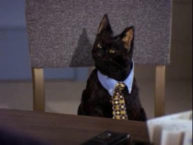 Poster episodio Sabrina, la bruja adolescente 1x22