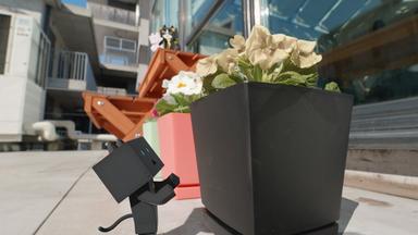 Poster episodio Nyanbo 1x16