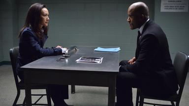 Poster episodio Sobreviviente designado 1x11