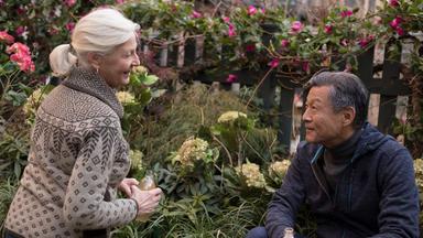 Poster episodio Modern Love 1x8