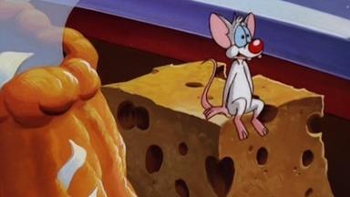 Poster episodio Pinky, Elvira y Cerebro 1x4